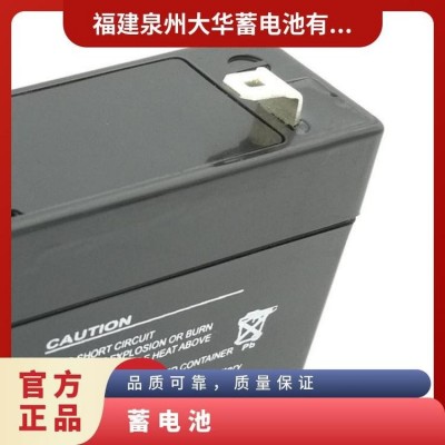大华 蓄电池 1218AH 电压稳定 恢复能力强 6-8年纸箱