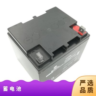 大华 12V21AH 蓄电池 电压稳定 放电持久 严选材质