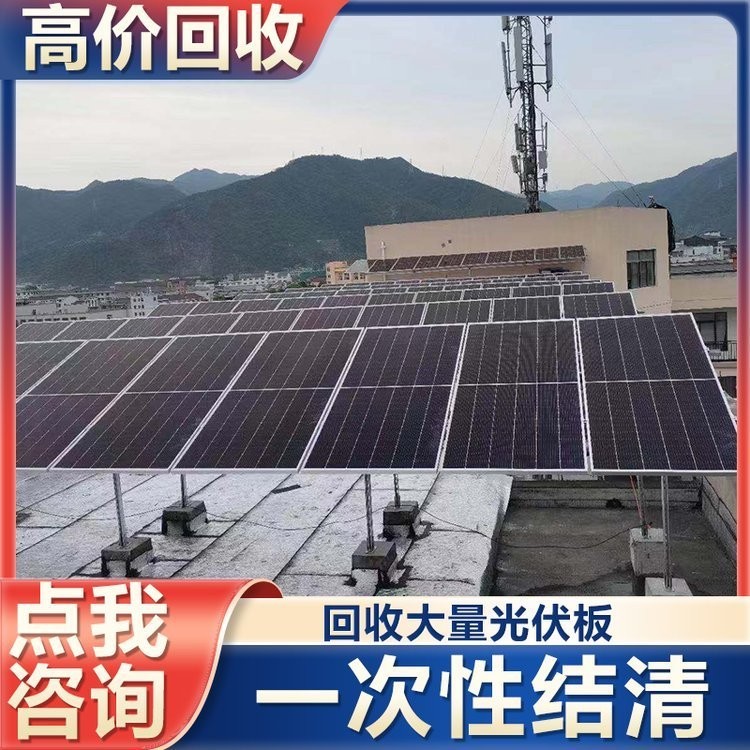 晨果新能源 太阳能光伏板回收 全国上门收购 现场结款