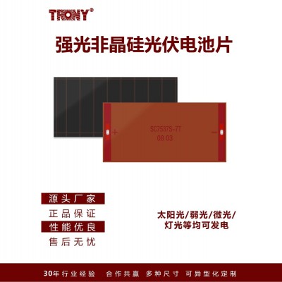 TRONY创益户外圣诞节氛围装饰灯强光非晶硅太阳能板7537