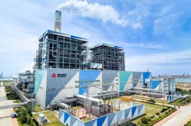 国家能源集团福建公司年发电量突破300亿千瓦时